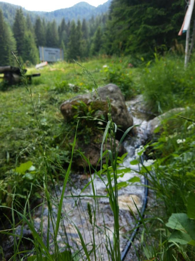 Хижа Ловна В Рила بانيشيست المظهر الخارجي الصورة