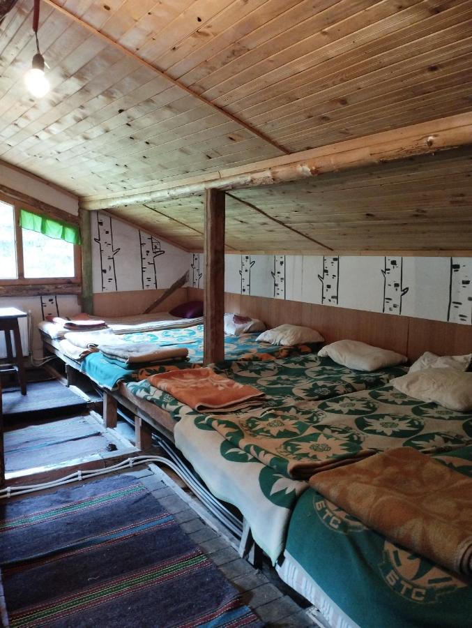 Хижа Ловна В Рила بانيشيست المظهر الخارجي الصورة